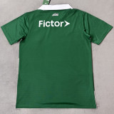 2026 Palmeiras Special Edition Fans Soccer Jersey