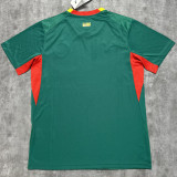 2026/27 Senegal Away Green Fans Soccer Jersey