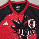 2024/25 Japan Special Edition Fans Jersey