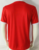 1985/86 Atlético Independiente Home Red Retro Soccer Jersey