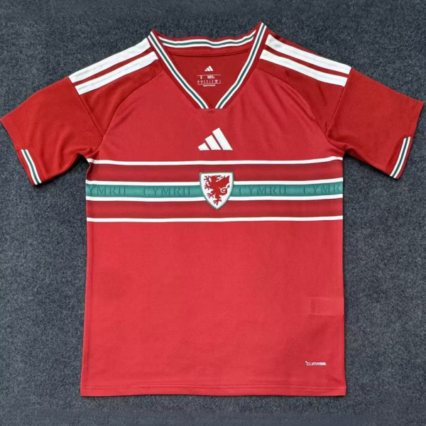 2026/27 Wales Home Red Fans Soccer Jersey