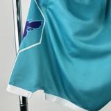 2025 Hornets Blue Training Shorts NBA Pants