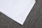 2025/26 Inter Miami White Vest Training Jersey(A Set)