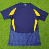 2024/25  Al Nassr Away Player Version Soccer Jersey