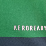 2010/11 Palmeiras Home Green Retro Jersey