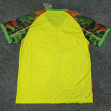 2025/26 Brazil Special Edition Fans Soccer Jersey