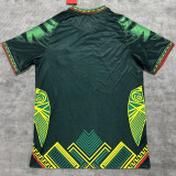 2026/27 Mali Home Green Fans Soccer Jersey