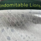 2026/27 Cameroon Away Whitre Player Version Soccer Jersey