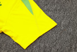 2025 Brazil  Yellow Training Jersey(A Set)