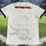 2025/26 Japan Special Edition Fans Jersey