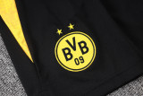 2026 BVB Yellow Vest Training Jersey (A Set)