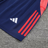 2025 AD~  Sapphire Blue Training Jersey(A Set)