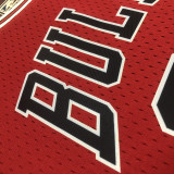 Bulls PIPPEN#33 Retro Red NBA Girl Jersey