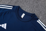 2025/26 Al Nassr Baby Blue Training Jersey(A Set)