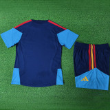 2026/27 Spain Blue Training Jersey (A Set)