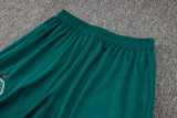 2025 Palmeiras Green Sweater Tracksuit