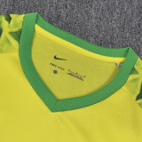 2025/26 Brazil Special Edition Fans Soccer Jersey