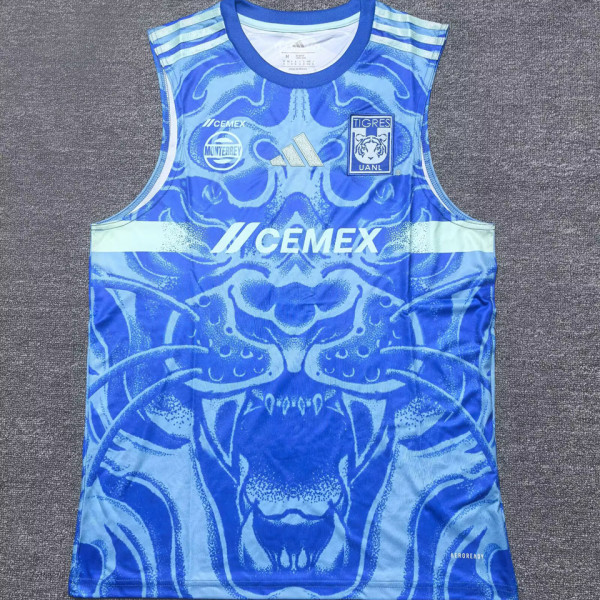 2025/26 Tigres Away Vest Jersey