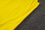2025/26 BVB  Yellow Vest Training Jersey(A Set)