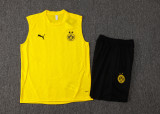 2025/26 BVB  Yellow Vest Training Jersey(A Set)