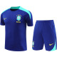 2025  Brazil Sapphire Blue Training Jersey(A Set)