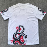 2025 Japan Special Edition Fans Jersey