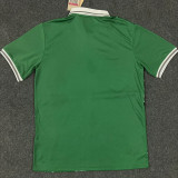 2024 Nigeria Home Green Fans Soccer Jersey