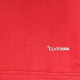 2026/27 Wales Home Red Fans Soccer Jersey