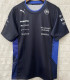 2025 Red Bull Racing F1 Team T-Shirt  圆领