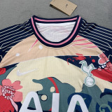 2025/26 TH FC Special Edition Fans Soccer Jersey