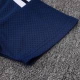 2026 AD Royal Blue Training Jersey (A Set)