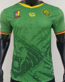 2025/26 Cameroon Home Green Player Version Soccer Jersey