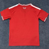 2026/27 Wales Home Red Fans Soccer Jersey
