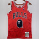 1997/98 Bulls BAPE×M&N #93 Red NBA Jerseys