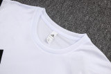 2025/26 AA White Vest Training Jersey(A Set)