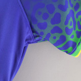 2022/23 Brazil Away Blue  Women Soccer Jersey