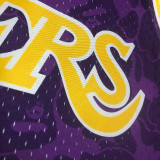 1993 Lakers BAPE×M&N #93 Purple NBA Jerseys