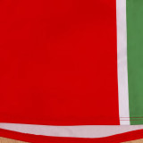 2005/06 JUV Away Red Retro Soccer Jersey