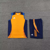 2025 AD~  Orange Vest Training Jersey(A Set)