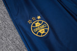 2025/26 Grêmio Baby Blue Sweater Tracksuit