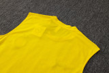 2025/26 BVB  Yellow Vest Training Jersey(A Set)