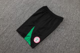 2025 Nigeria Training Jersey(A Set)