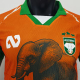 2026 Cameroon Orange Special Edition Player Version Soccer Jersey