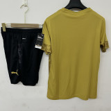2026 Lens Gold Training Jersey (A Set)