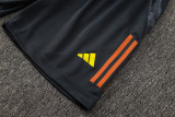 2025/26  Benfica Grey Vest Training Jersey(A Set)