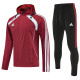 2026/27 AD~ Red Hoody Zipper Jacket