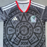 2026/27 Mexico Special Edition Fans Soccer Jersey