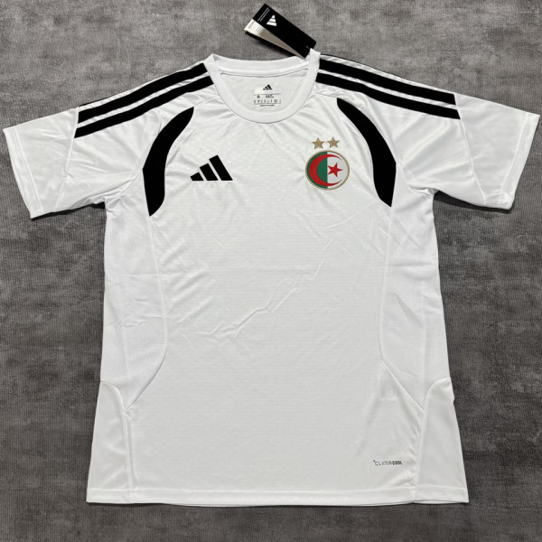 2026/27 Algeria Special Edition Fans Soccer Jersey