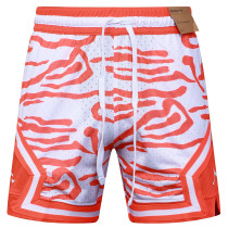 C2520 Jordan Casual Short Pants 虎纹橙