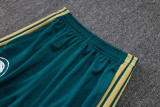 2026/27 Saudi Arabia Green Jacket Tracksuit